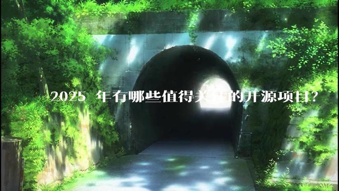 2025 年有哪些值得关注的开源项目？