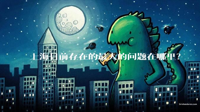 上海目前存在的最大的问题在哪里？
