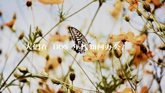 人们在 DOS 年代如何办公？