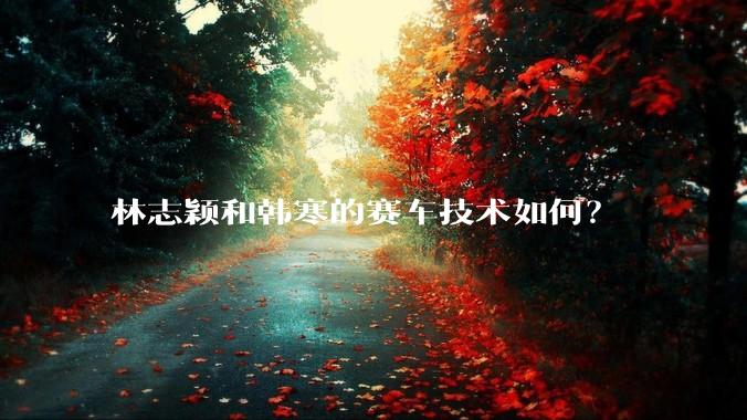 林志颖和韩寒的赛车技术如何？