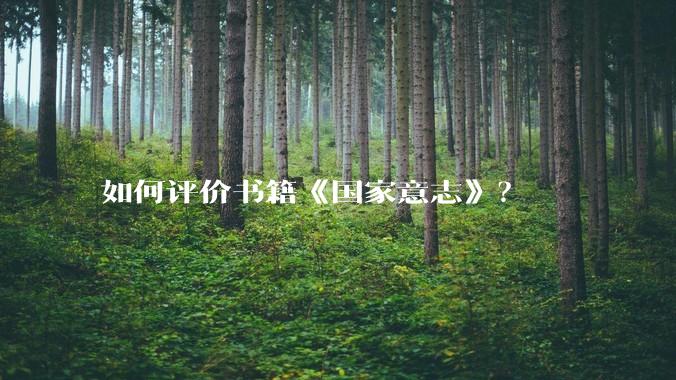 如何评价书籍《国家意志》？