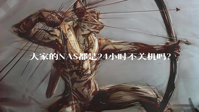 大家的NAS都是24小时不关机吗？