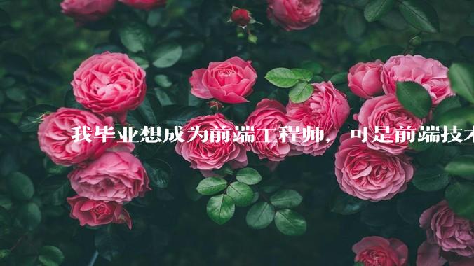 我毕业想成为前端工程师，可是前端技术太多，越学越多，可是我想成为技术强的人，又很无助，怎么办?