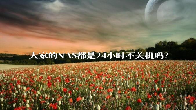 大家的NAS都是24小时不关机吗？