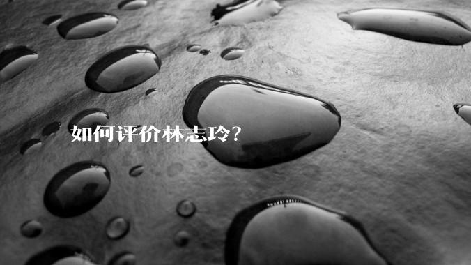 如何评价林志玲？