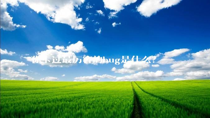 你卡过最厉害的bug是什么？