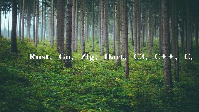 Rust、Go、Zig、Dart、C3、C++、C，仓颉、moonbit、凹语言哪个语言更有未来？