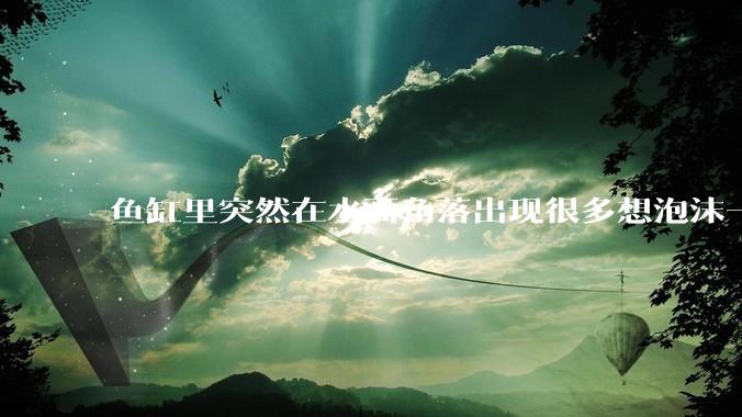 鱼缸里突然在水面角落出现很多想泡沫一样的气泡是怎么回事？