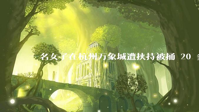 一名女子在杭州万象城遭挟持被捅 20 多刀，隆胸***体救了一命，这反映出哪些公安系统的问题？