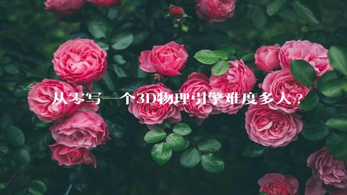从零写一个3D物理引擎难度多大?